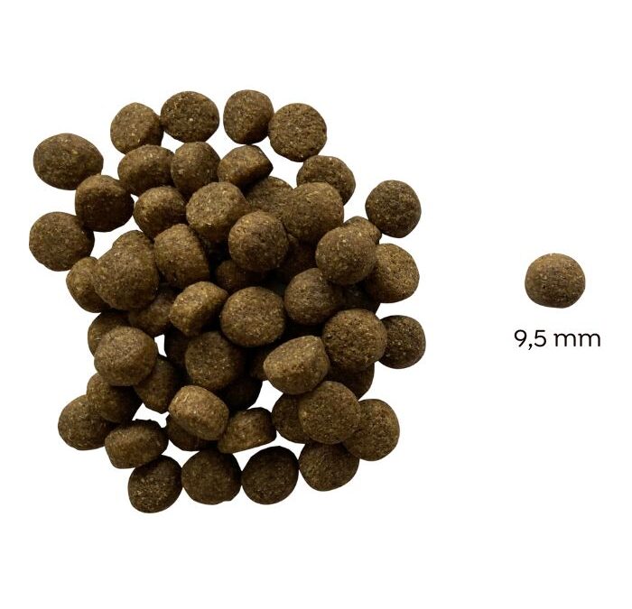 Oscar Hipoallergén marhás száraz senior kutyatáp (búza-glutén és csirkehús mentes prémium formula) – 3 kg