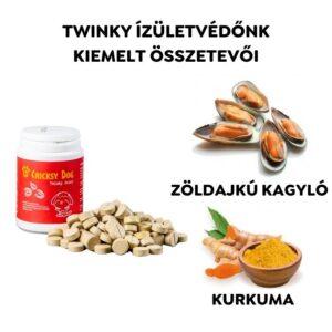 Twinky ízületvédő tabletta zöldkagyló kivonattal (100 tabletta/doboz)