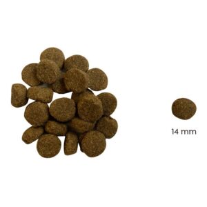 Ted Hipoallergén bárányos száraz kutyatáp (búza-glutén és csirkehús mentes prémium formula) - 3 kg