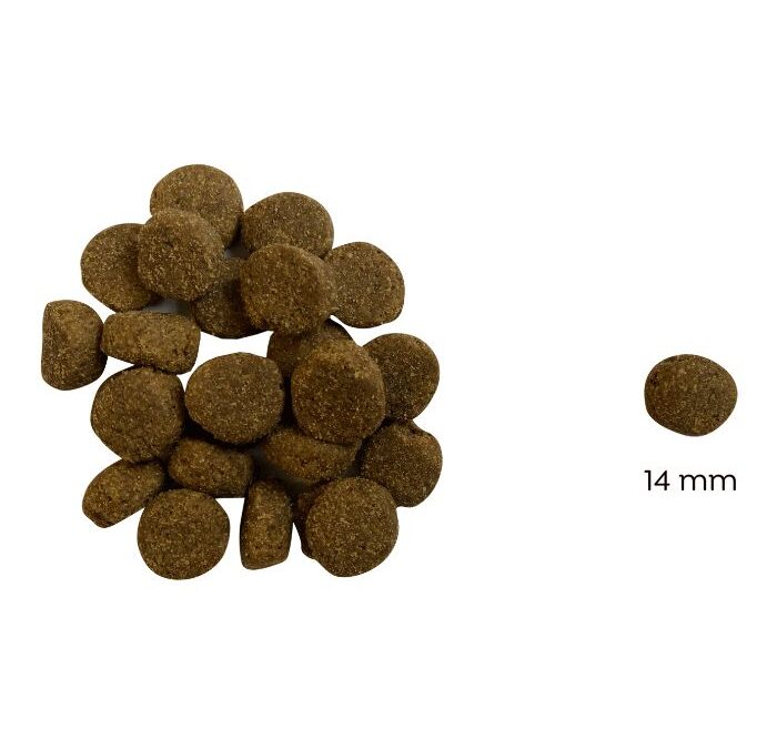 Ted Hipoallergén bárányos száraz kutyatáp (búza-glutén és csirkehús mentes prémium formula) – 2 x 10 kg (=20 kg)