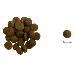 Ted Hipoallergén lazacos száraz kutyatáp (búza-glutén és csirkehús mentes prémium formula) - 10 kg