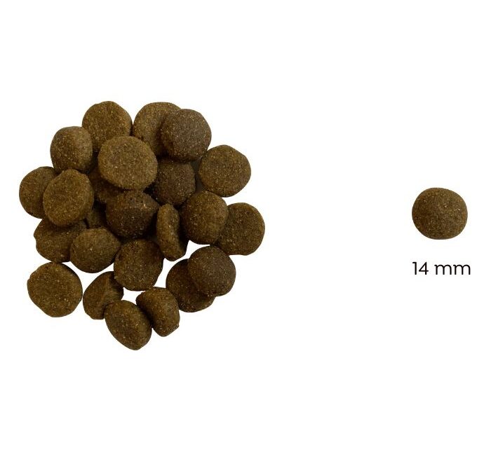 Ted Hipoallergén lazacos száraz kutyatáp (búza-glutén és csirkehús mentes prémium formula) – 2 x 10 kg (=20 kg)