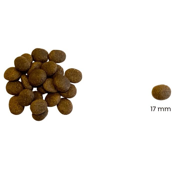 Ted Hipoallergén marhás száraz kutyatáp (búza-glutén és csirkehús mentes prémium formula) – 2 x 10 kg (=20 kg)