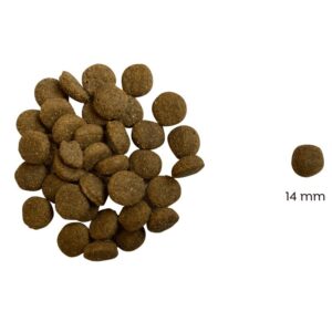 Ted Hipoallergén Plus rovarfehérje alapú száraz kutyatáp mangóval és spirulinával (búza-glutén és csirkehús mentes prémium formula) -
