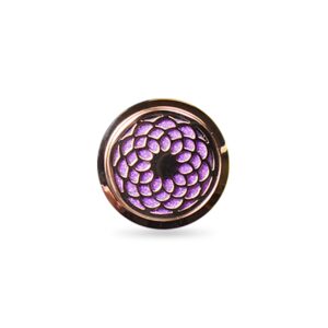 Tachyon Technologies Tachyon Carmonizer Gold védelem az elektromágneses mezők ellen az autóban Típus: Lotus