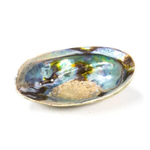 Phoenix Import Rainbow Abalone Shell Paua Haliotis Iris égető füstölőkötegekhez