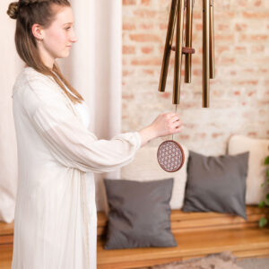MEINL Sonic Energy Meditation ütőhangszer Chimes meditációs csengő Típus: 3