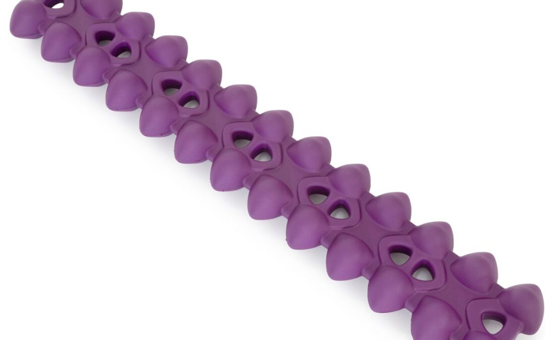 Elina Pilates Spine Aligner gerinckorrektor 2 féle Típus: Eredeti