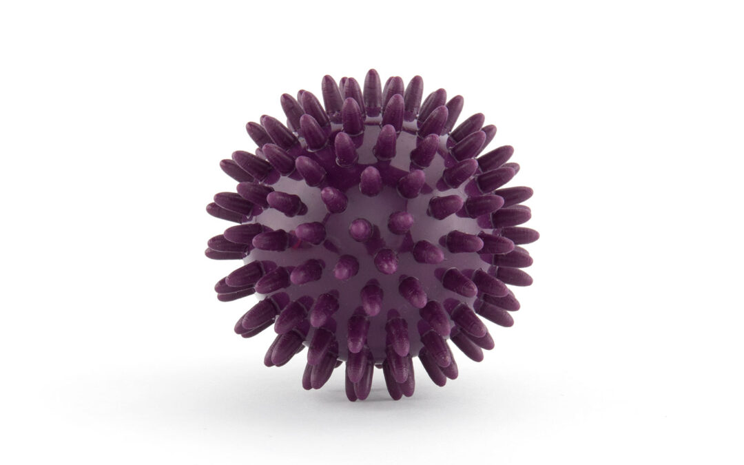 Bodhi Yoga Bodhi szúrós masszázslabda SPIKY különböző nagyságokban Átmérő: 7 cm/Padlizsán