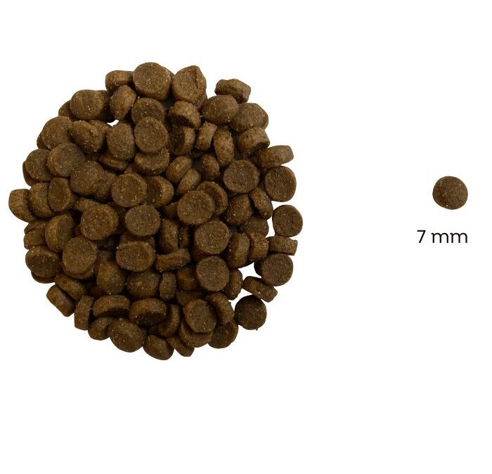 Jasper Hipoallergén lazacos száraz macskatáp (búza-glutén és csirkehús mentes prémium formula) – 3 kg
