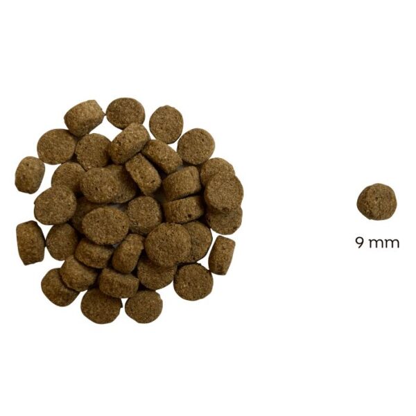 Juliet Hipoallergén lazacos száraz kutyatáp (búza-glutén és csirkehús mentes prémium formula) - 3 kg