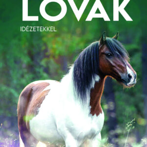 2026 Naptár: Lovak